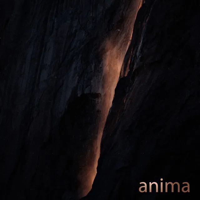 Anima - Radio Edit