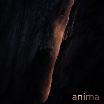 Anima by Vince Schuld