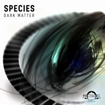 Dark Matter by Species