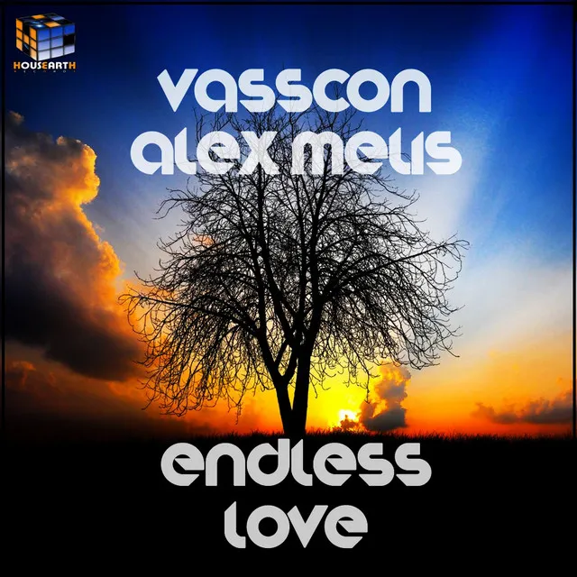 Endless Love - Original Mix