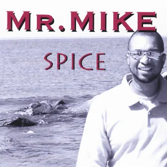 Spice by MR.MIKE