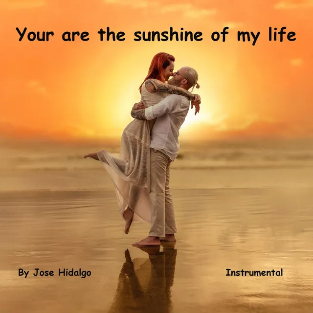 You Are the Sunshine of My Life