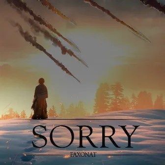 Sorry by Faxonat