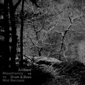 Ambient Vs Drum & Bass by 