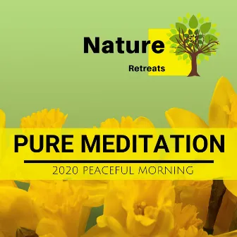 Pure Meditation - 2020 Peaceful Morning by Zen Healing Melodies