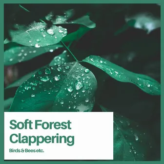 Soft Forest Clappering by Birds & Bees etc.