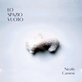 Lo spazio vuoto by Nicolò Carnesi