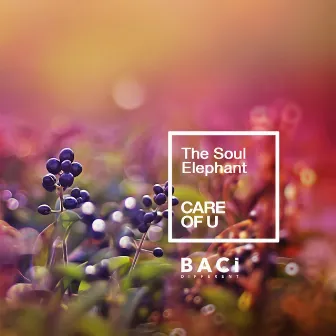 Care of U by The Soul Elephant