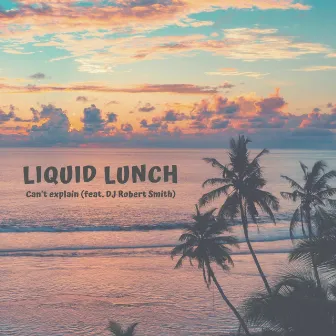 Can't explain by Liquid Lunch