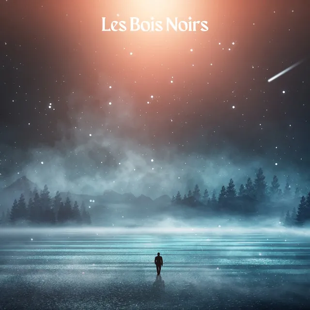 Les Bois Noirs