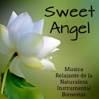 Sweet Angel - Musica Relajante de la Naturaleza Instrumental Bienestar para Ejercicios para el Cerebro Dormir y Cuerpo Saludable by Healing Massage Music Masters