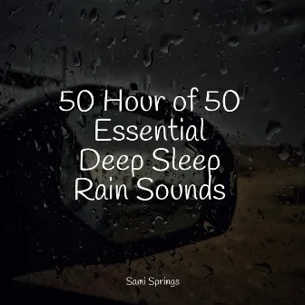 50 Hour of 50 Essential Deep Sleep Rain Sounds by Sleepy Night Music