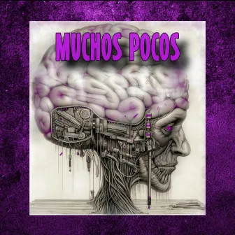 Muchos Pocos by Stivo/Natusoul