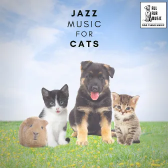 Jazz Music for Cats by Music For Dogs To Sleep To