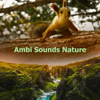 Ambi Sounds Nature by Ambi Nature