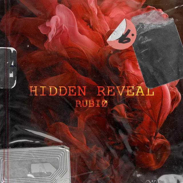 HIDDEN REVEAL