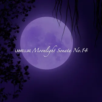 Moonlight Sonata No. 14 (Finger Piano) by Lamellae