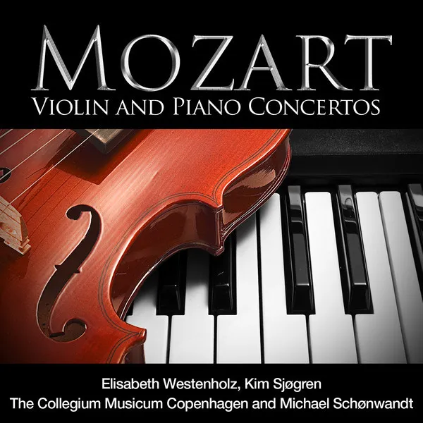 Concerto No. 20 in D Minor for Piano and Orchestra, K. 466: I. Allegro