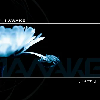 Birth by I Awake