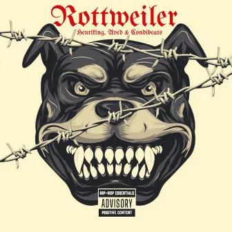 Rottweiler by Henriking