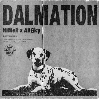 Dalmation by NiMeR