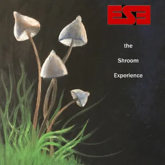 The Shroom Experience by Entheogenic Sound Explorers