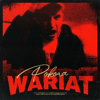 Wariat by Pokora