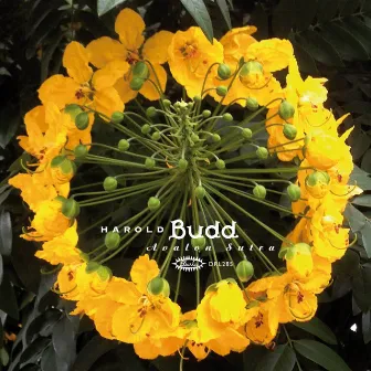 Avalon Sutra (2013 Remaster) by Harold Budd