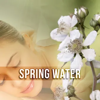 Spring Water - Spa, Sounds of Nature, Relaxing Music, Massage, Blissful, Healing Vibes by Beautiful Spa Collection