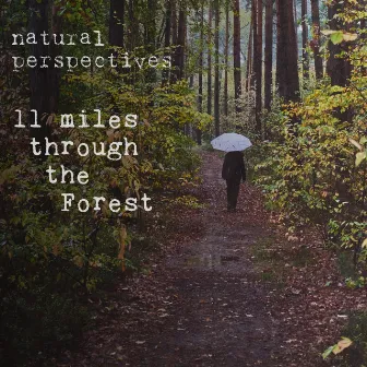 11 Miles Through the Forest by Natural Perspectives