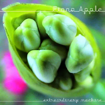 iTunes Originals by Fiona Apple