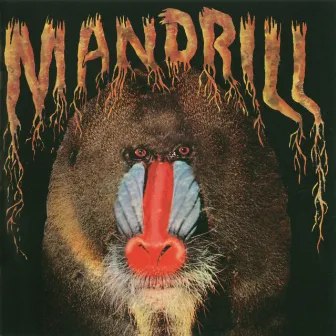 Mandrill by Mandrill