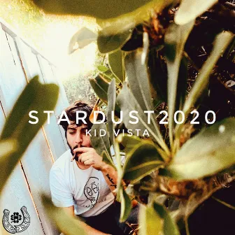 Stardust2020 by Kid Vista