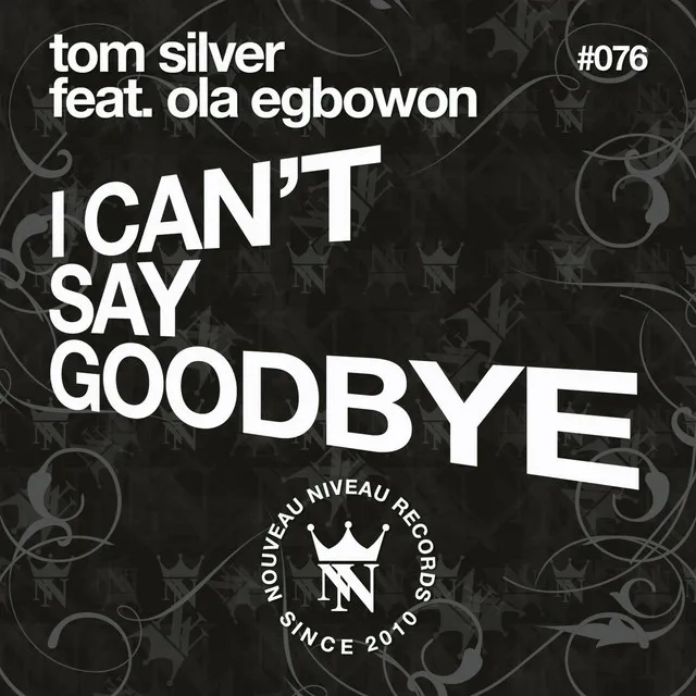 I Can't Say Goodbye - Radio Edit