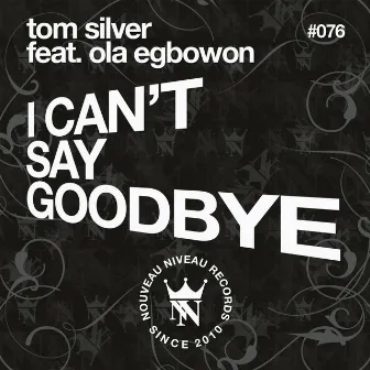 I Can't Say Goodbye by Tom Silver