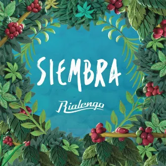 Siembra by Rialengo