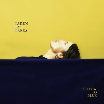 Yellow to Blue by Taken By Trees