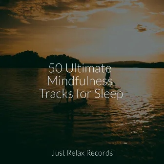 50 Ultimate Mindfulness Tracks for Sleep by Sleepy Night Music