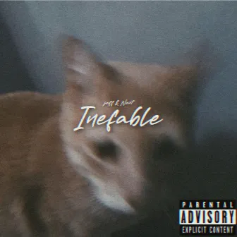 Inefable by Jeff & Next