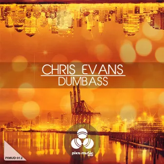 Dumbass by Chris Evans