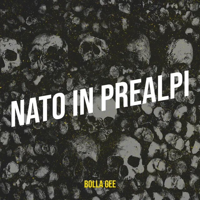 Nato in Prealpi