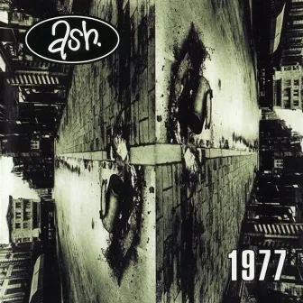 1977 by Ash