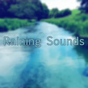 Raining Sounds by Sleep Sounds of Nature