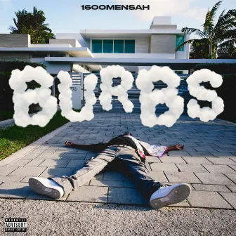 Burbs by 1600MENSAH