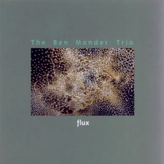 Flux by Ben Monder