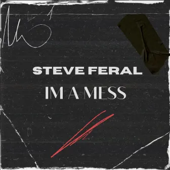 IM A MESS by STEVE FERAL