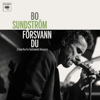 Försvann du by Bo Sundström