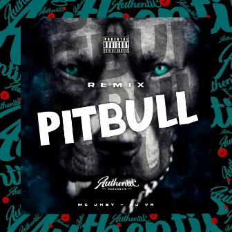 Pitbull [Remix] by DJ CHICO OFICIAL