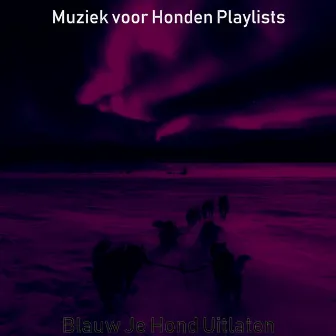 Blauw Je Hond Uitlaten by Muziek voor Honden Playlists