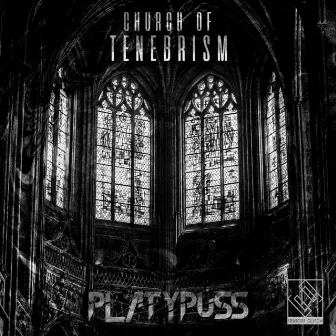 Church of Tenebrism by PLATYPUSS